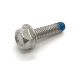 Hexagon Flange Bolts with Serrated