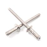Hemlok Blind Rivet for secure fastening applications.