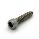 Hexagon socket cap screw for self-tapping applications. Durable metal construction with precise thre.